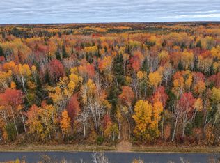 TBD Swedish Highway, Dairyland, WI 54830