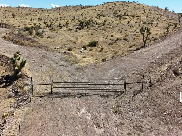 24708 Gold Rush Lndg, Willow Beach, AZ 86445