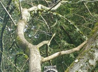 525 E Mill Stream Woods, Stayton, OR 97383