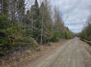 Ar105p4 Jemtland Rd, New Sweden, ME 04762