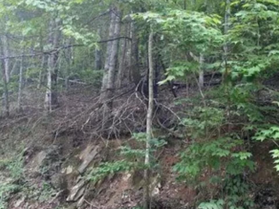 2nd image of LOT 331 Ridgefield Dr