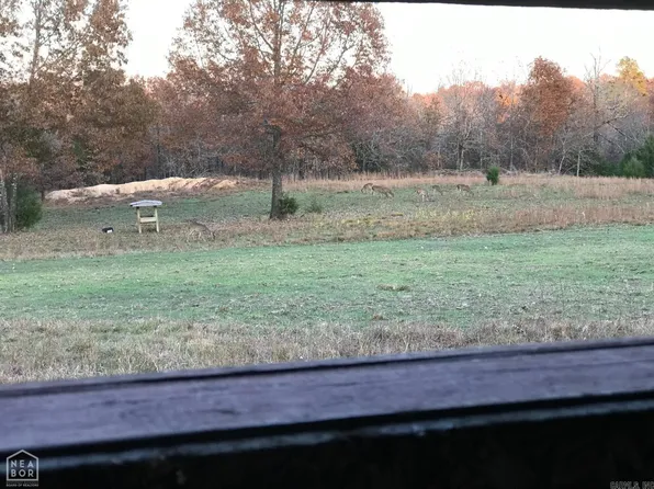 47 Sturkie Rd, Salem, AR 72576