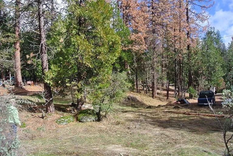 41734 Chipmunk Ln photo 1