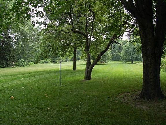 3/4 acre with Orchard