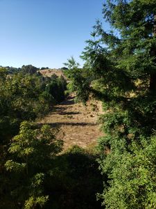 225 San Marino Dr, San Rafael, CA, 94901