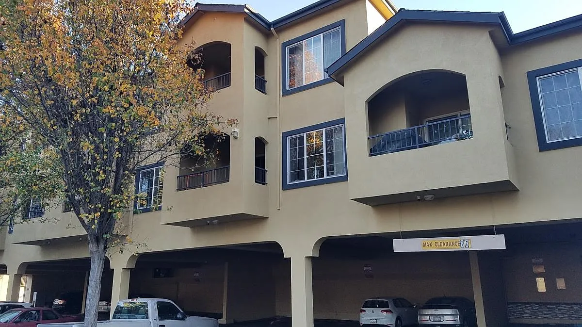 1 bed, 900 sqft, $3,195 — Photo 2