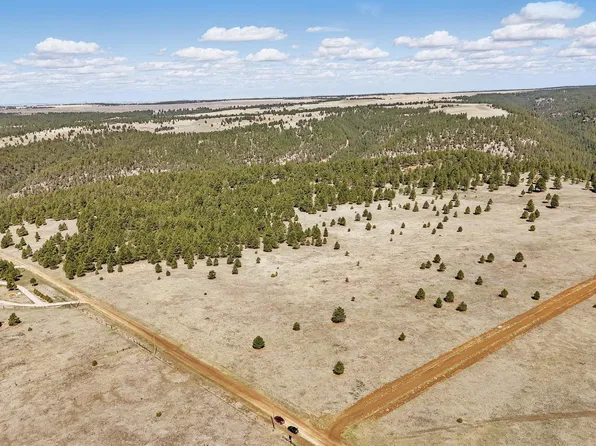 Bridlebit Rd, Newcastle, WY 82701