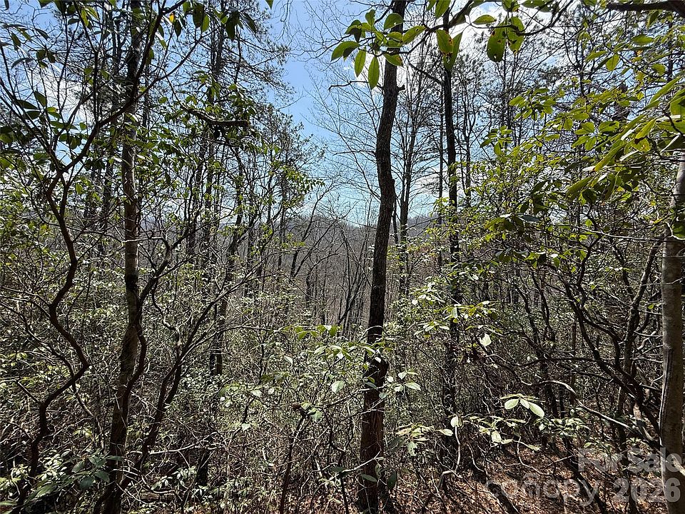 1st image of 0 Line Runner Ridge Rd