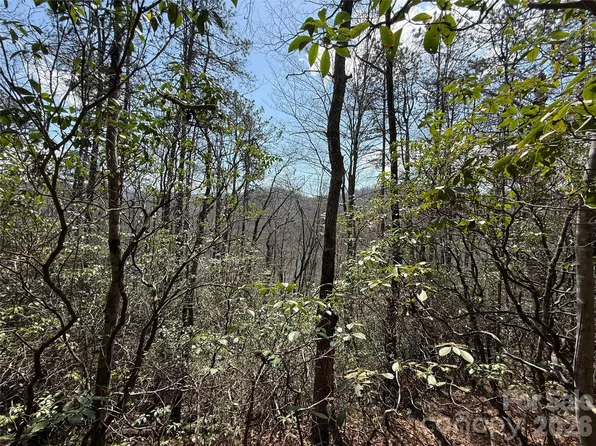 0 Line Runner Ridge Rd, Rosman, NC 28772