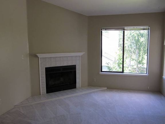 Wood Burning Fireplace