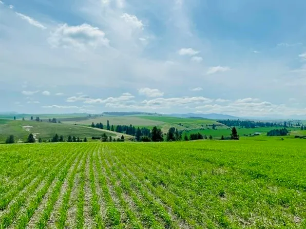 Nka Hays Road Lot B Lot B, Spangle, WA 99031