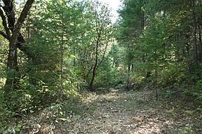 2nd image of 463 Clewis Ln