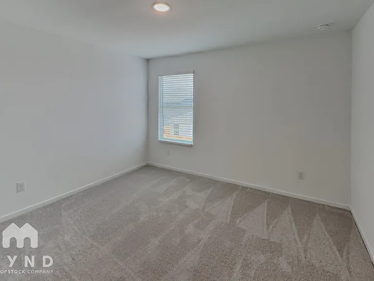 7374 Orange Saphire — Photo 14