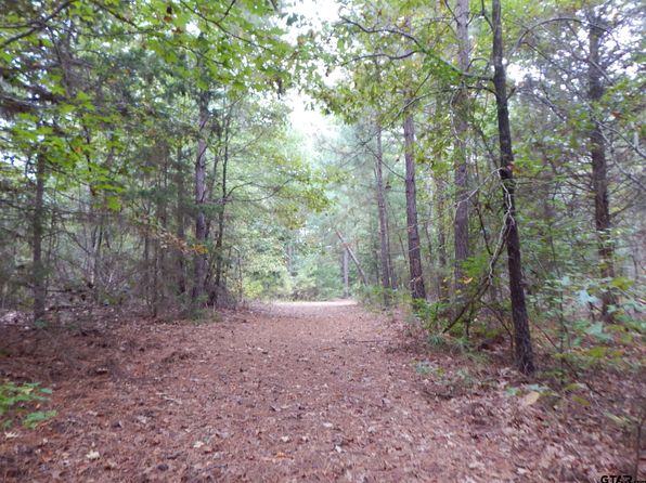 70.78 Red Maple Rd, Big Sandy, TX 75755