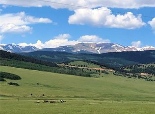 1625 Gap Rd, Fairplay, CO 80440