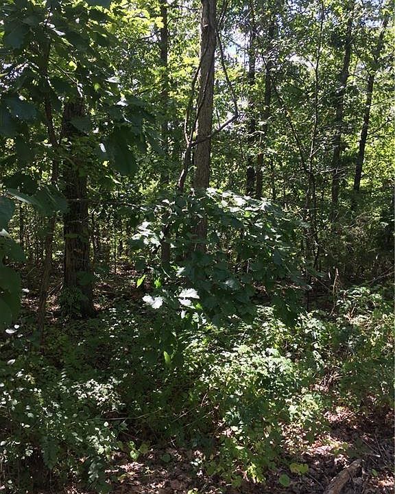 2nd image of Ripon Ln