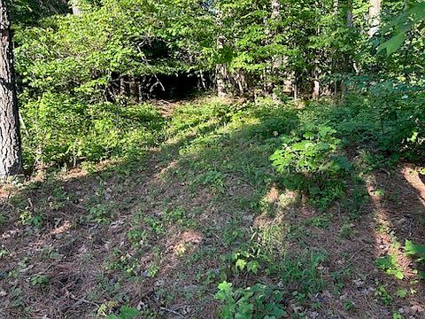 2nd image of 922 County Road 5590
