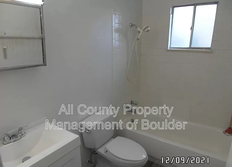 838 Mount Evans St — Photo 11