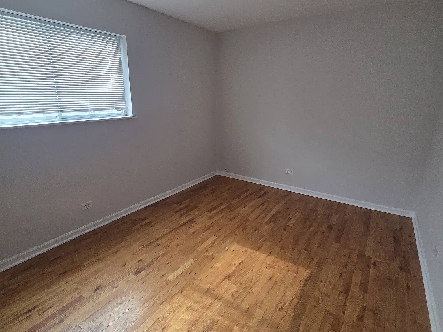 1 bed, 900 sqft, $1,500 — Photo 4