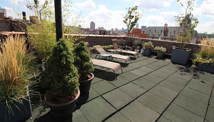 Rented by Douglas Elliman | media 17