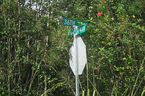 1st image of 36th Ave Lot 10