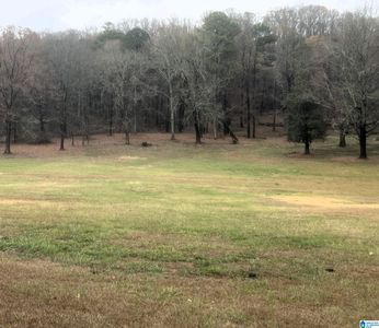 1321 Edwards Lake Rd #1321, Birmingham, AL, 35235