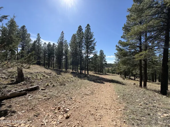 4870 E Gandalf Ln, Flagstaff, AZ 86004