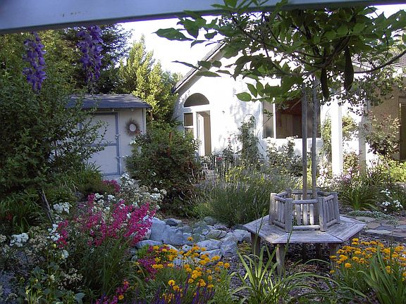 429 MSF Backyard -- View from Pergola