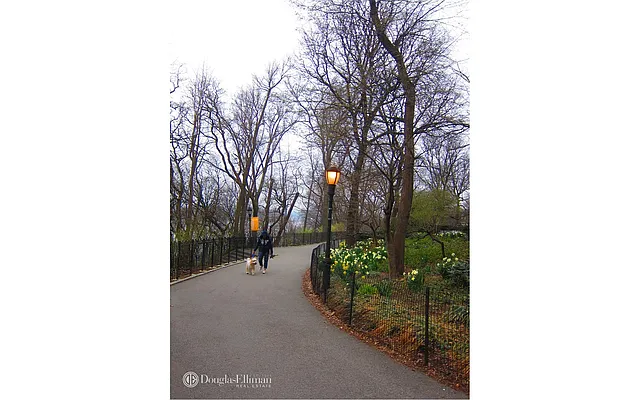 Rented by Douglas Elliman | media 15