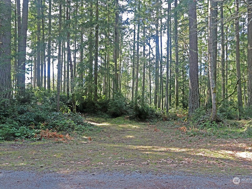 Clearing could be a building site for your Vashon abode.>