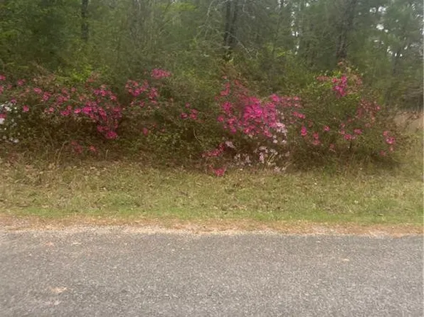 0 Ian Johnson Rd, Otis, LA 71466