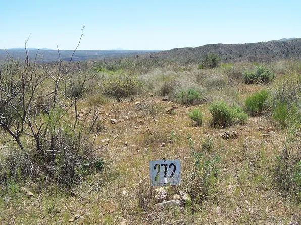 LOT 272 End Of The Trail Rd, Willcox, AZ 85643