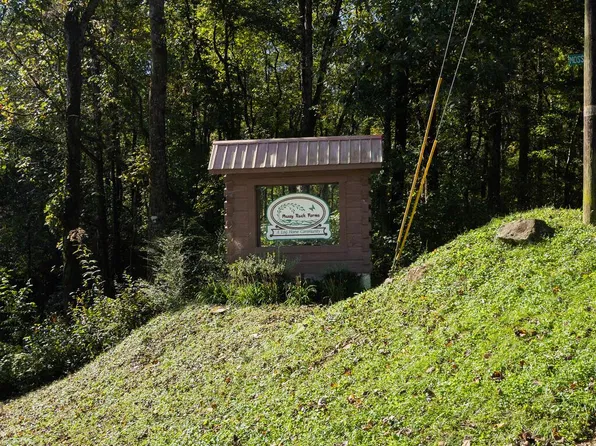 LOT 5 Mossy Hill Ct, Ellijay, GA 30540