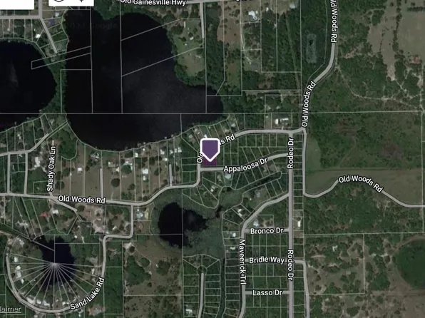 Old Woods Rd, Interlachen, FL 32148