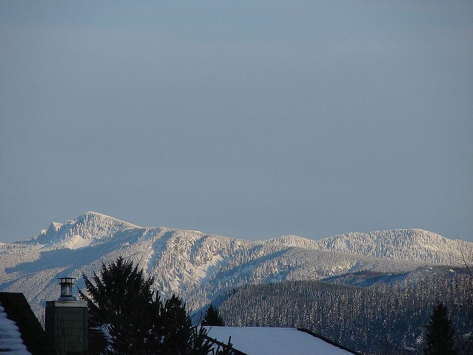 View from dining room.