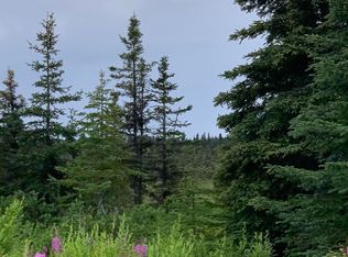 LOT 10 Stariski Mdws, Anchor Pt, AK 99556