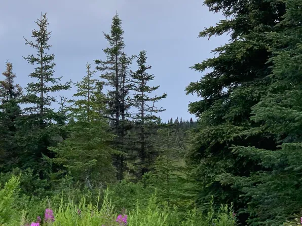 LOT 10 Stariski Mdws, Anchor Pt, AK 99556