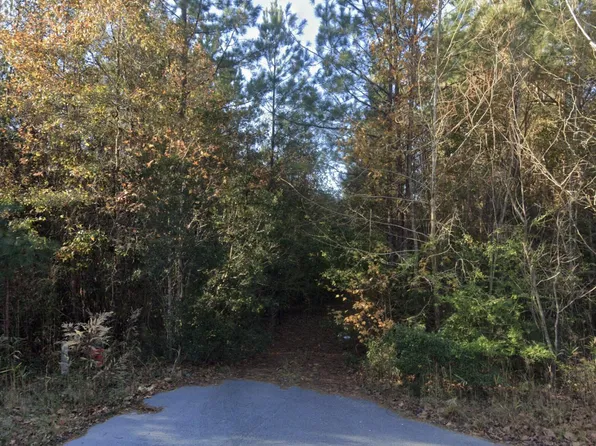 0 Oliver St, Hampton, SC 29924