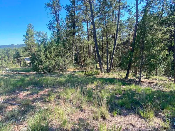 LOT Gc #57, Hill City, SD 57745