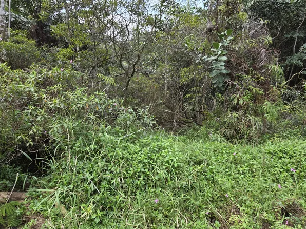 22nd Ave Lot 1227, Keaau, HI 96749