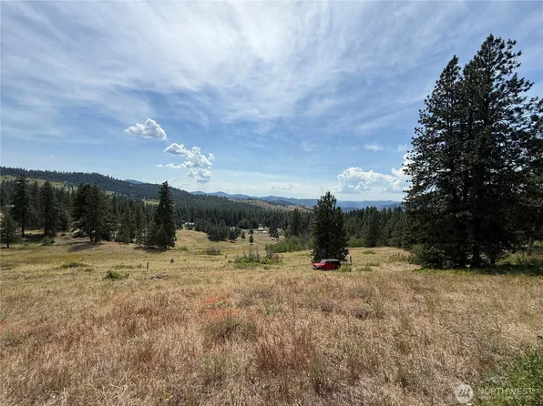 0 Lot 19 Seth Lane, Republic, WA 99166