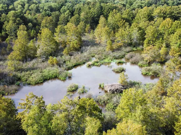 Fuller Rd, Trenton, TN 38382
