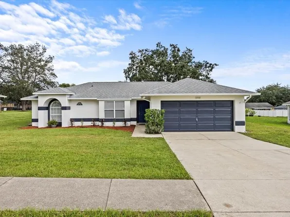 12518 Draw Dr, Grand Island, FL 32735