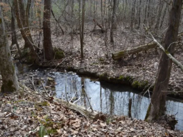 0 Boles Rd, Hilham, TN 38568