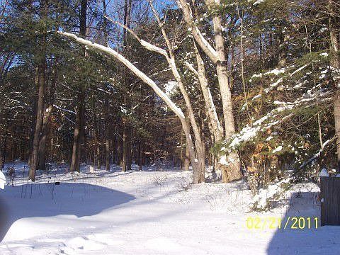 2nd image of 1647 Sullivan Rd