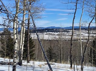 893 Lumber Jack Rd #174, Fairplay, CO 80440