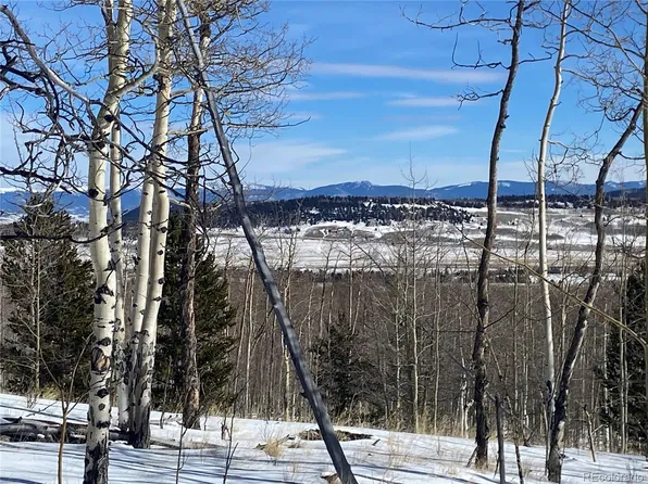 893 Lumber Jack Road LOT 174, Fairplay, CO 80440