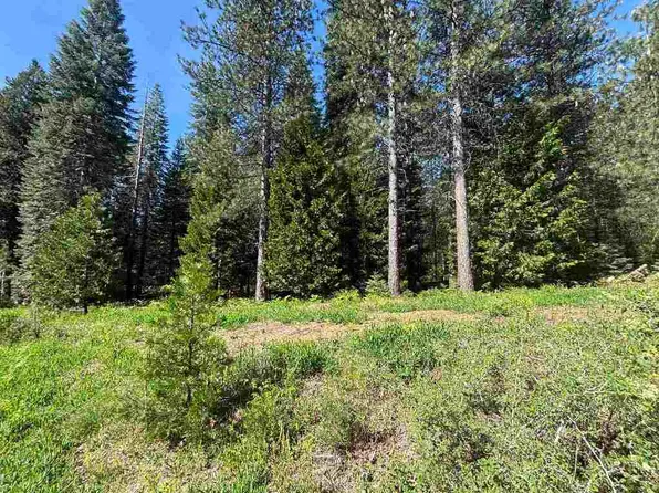 LOT 2 Old Mill Dr, McCloud, CA 96057