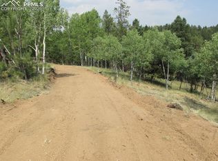 52 Diamond Cir, Florissant, CO 80816