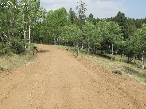 52 Diamond Cir, Florissant, CO 80816